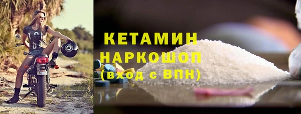 шишки Магас
