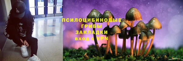 Альфа ПВП Майский