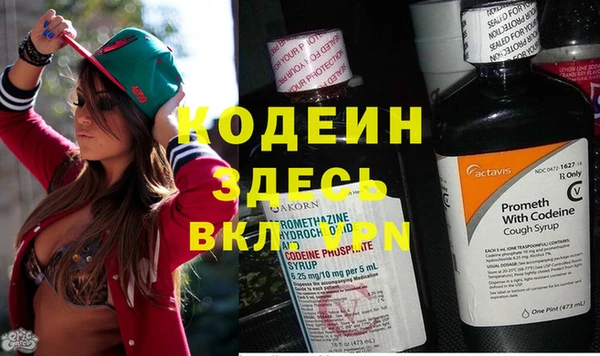 шишки Магас