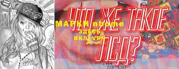 шишки Магас