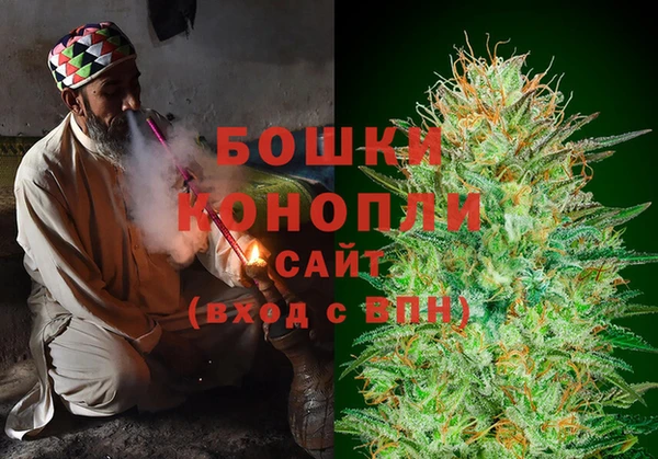шишки Магас