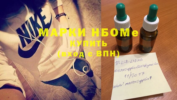 шишки Магас