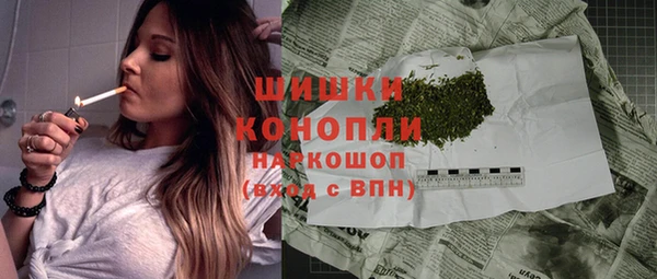 шишки Магас