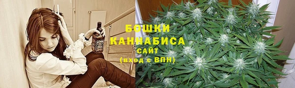 шишки Магас