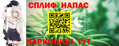 МДПВ Дубна