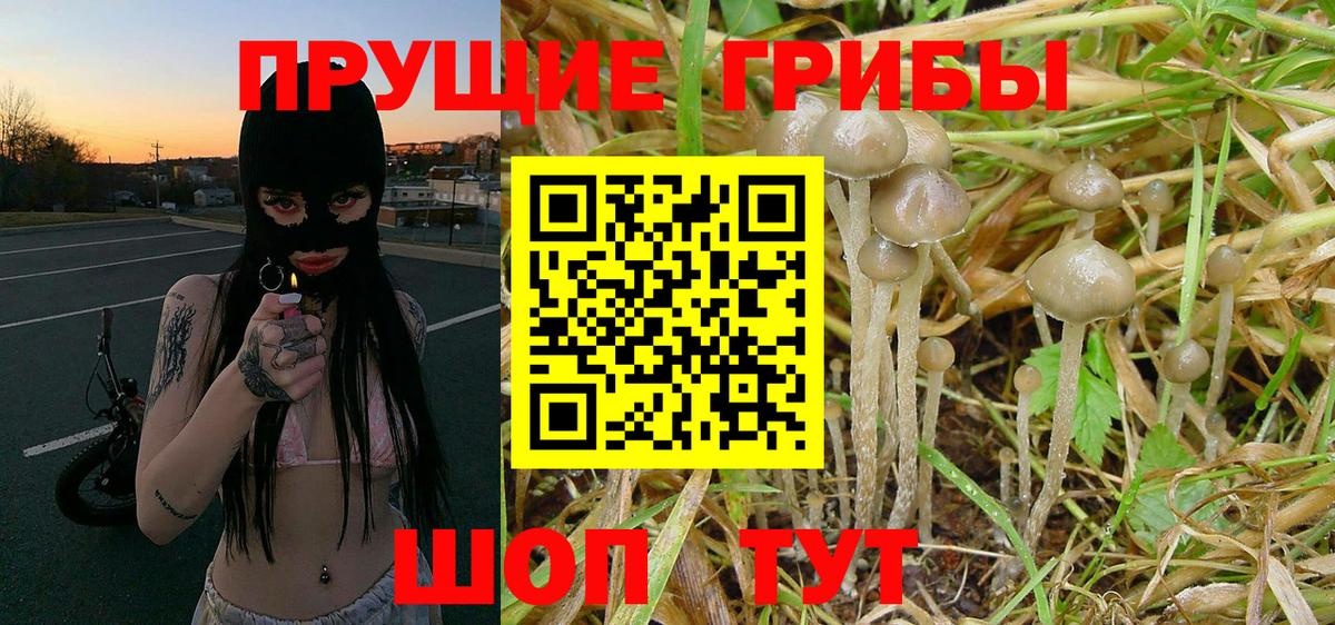 Псилоцибиновые грибы MAGIC MUSHROOMS Обь