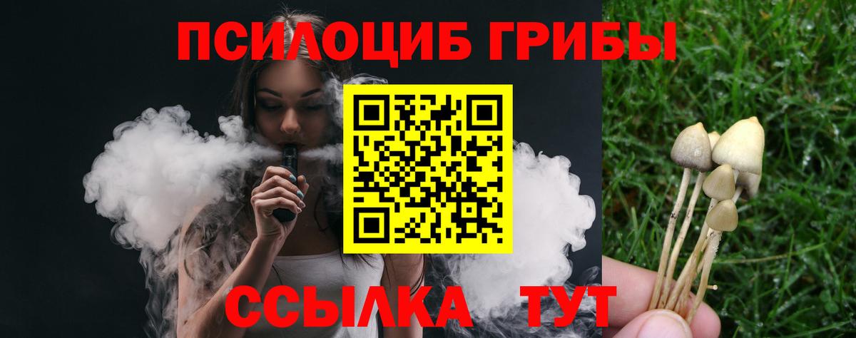 купить закладку  Псилоцибиновые грибы MAGIC MUSHROOMS  Вход с VPN  Обь 